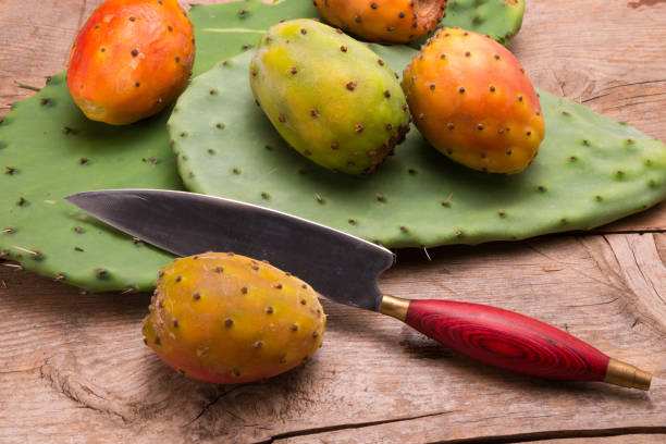 تصویر 3 از انواع کمپوت میوه کاکتوس درجه یک