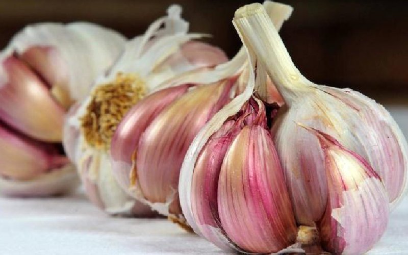 سیر قرمز خوش رنگ با بافت فشرده مناسب بسته بندی صادرات محور