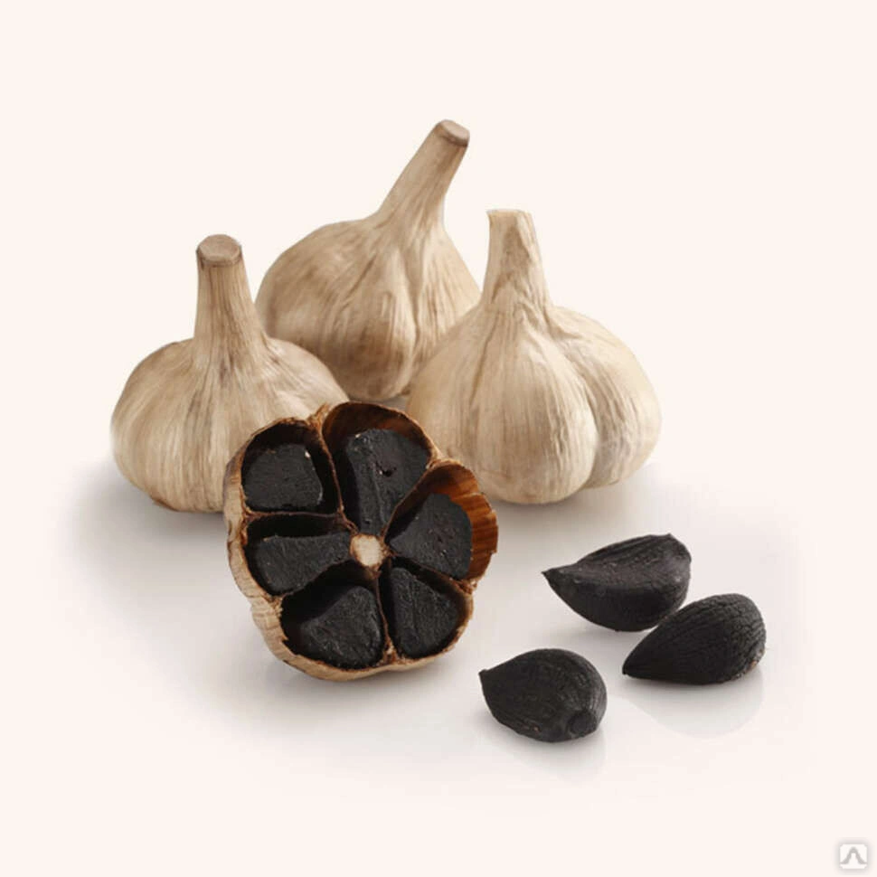 سیر سیاه سالم و طبیعی برای مصرف روزانه