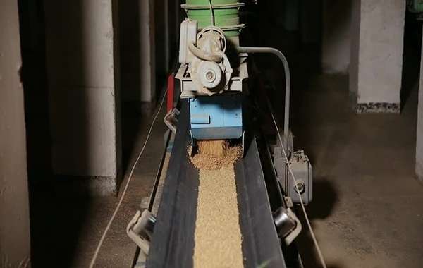 تصویر 1 از نوار نقاله گندم مناسب خطوط انتقال سریع و ایمن