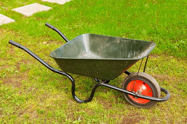 تصویر 2 از فرغون حمل کیوی جابجایی ایمن و حفظ کیفیت میوه ‌ها