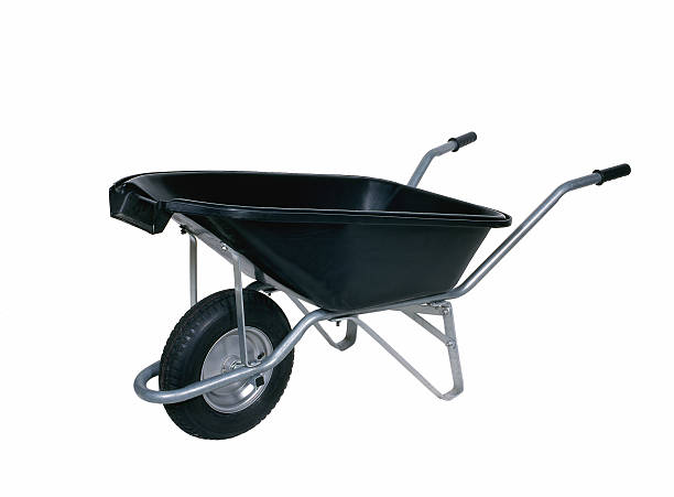 فرغون حمل کیوی جابجایی ایمن و حفظ کیفیت میوه ‌ها