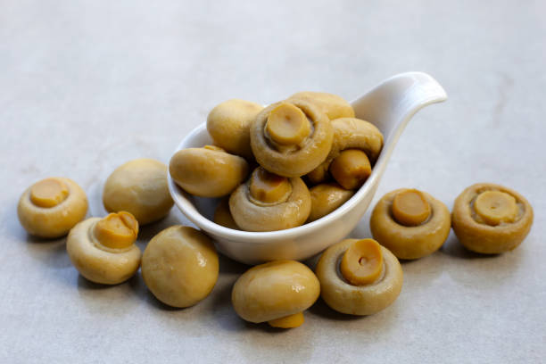 تصویر 3 از قارچ دکمه ای درشت ویژه طبخ رستورانی