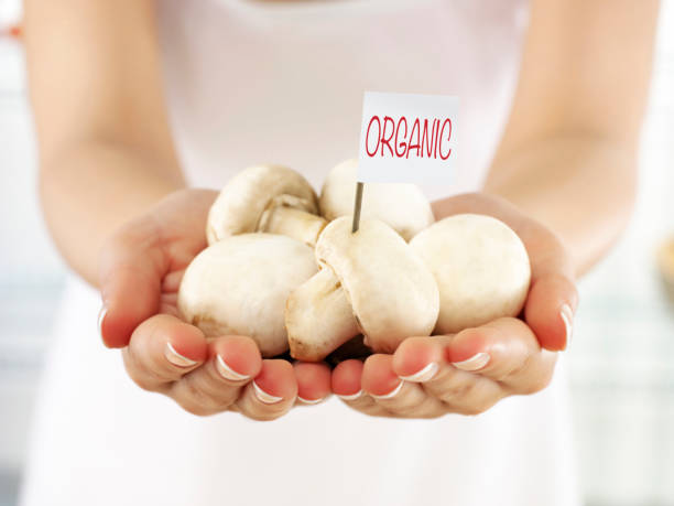 تصویر 1 از قارچ ارگانیک پرورش یافته بدون کود شیمیایی