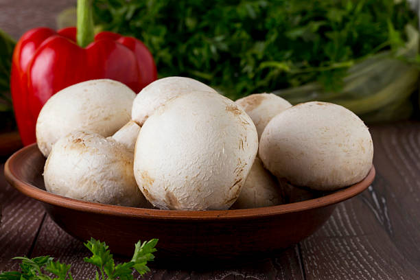 قارچ سفید ممتاز مناسب پخت غذاهای گیاهی