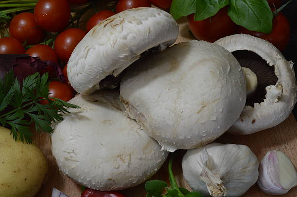 تصویر 2 از قارچ فله درجه یک مناسب مصرف خانوادگی