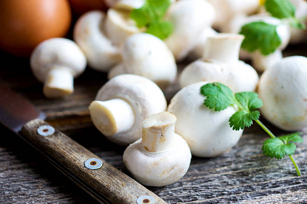 تصویر 4 از قارچ فله درجه یک مناسب مصرف خانوادگی