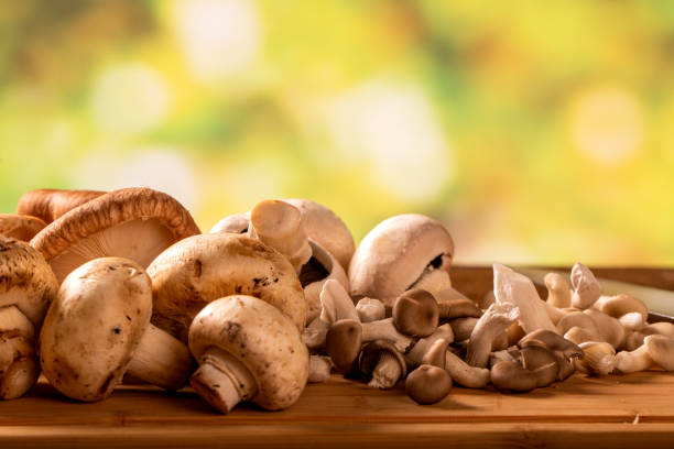 تصویر 3 از قارچ رژیمی کم کالری مناسب تناسب اندام