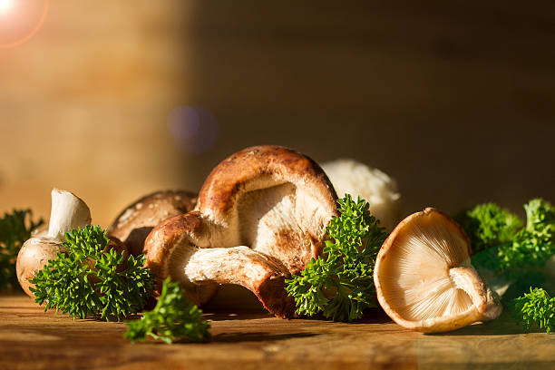 تصویر 4 از قارچ رژیمی کم کالری مناسب تناسب اندام