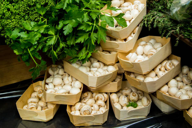 قارچ تازه بسته اقتصادی مناسب مصرف عمده