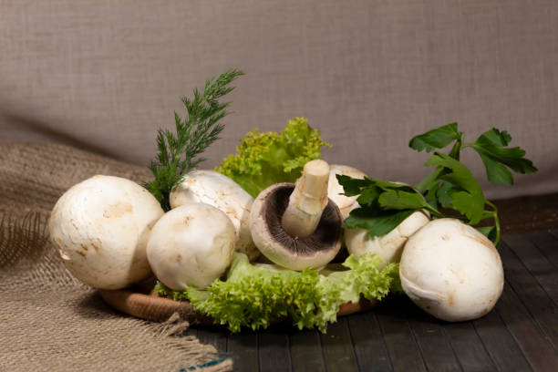 قارچ کشت کنترل شده با استاندارد بهداشتی