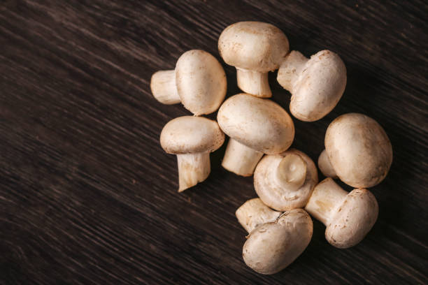 تصویر 1 از قارچ کشت کنترل شده با استاندارد بهداشتی