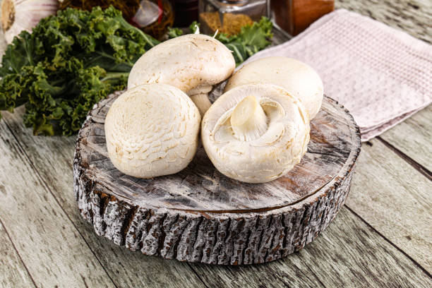 تصویر 2 از قارچ کشت کنترل شده با استاندارد بهداشتی