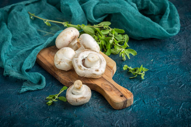 تصویر 4 از قارچ تازه روزانه با بافت نرم و خوش طعم