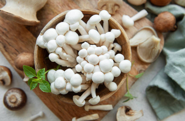 تصویر 3 از قارچ تازه روزانه با بافت نرم و خوش طعم