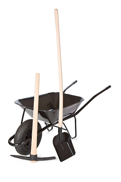 تصویر 2 از فرغون حمل سبد میوه حمل سریع و نظم بهتر در جابجایی