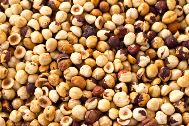 تصویر 1 از فندق خام درشت اعلا مناسب آجیل مجلسی