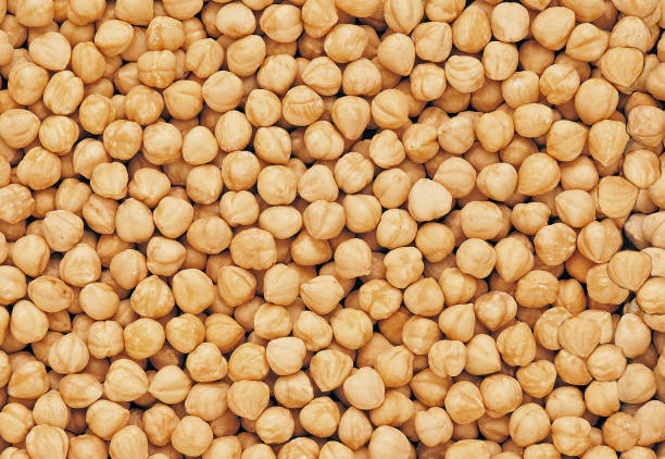 تصویر 1 از فندق مغز سفید یکدست ویژه شیرینی‌پزی حرفه‌ای