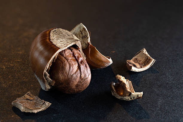 تصویر 2 از فندق شور با پوست سالم مخصوص پذیرایی رسمی