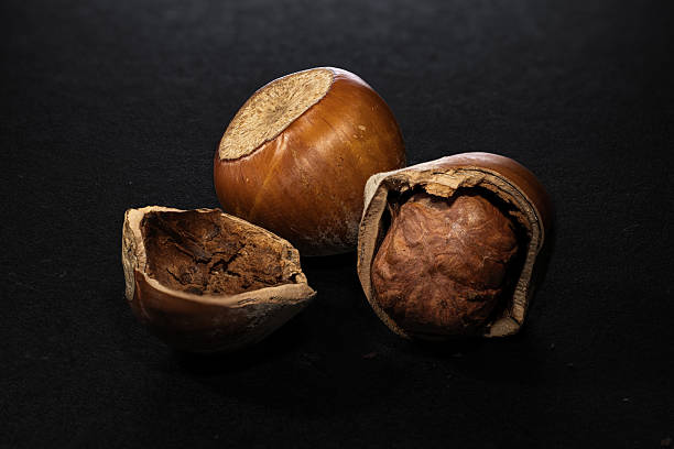 تصویر 3 از فندق شور با پوست سالم مخصوص پذیرایی رسمی