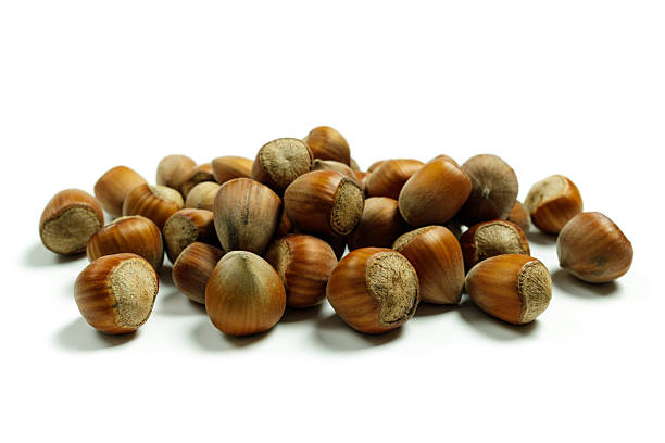 تصویر 4 از فندق شور با پوست سالم مخصوص پذیرایی رسمی