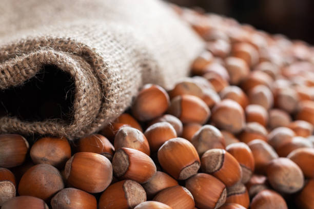 تصویر 1 از فندق اعلا صادرات محور با سایزبندی دقیق