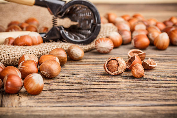 تصویر 2 از فندق اعلا صادرات محور با سایزبندی دقیق