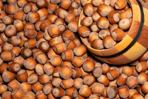 تصویر 3 از فندق اعلا صادرات محور با سایزبندی دقیق