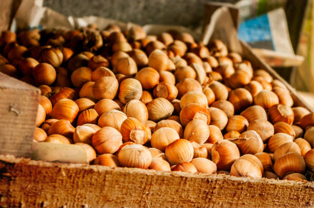 تصویر 3 از فندق تازه امسالی دستچین شده کیفیت ممتاز