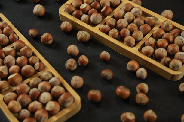 فندق تازه امسالی دستچین شده کیفیت ممتاز