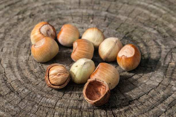 تصویر 1 از فندق خام اقتصادی سورت تمیز مناسب بسته‌ بندی