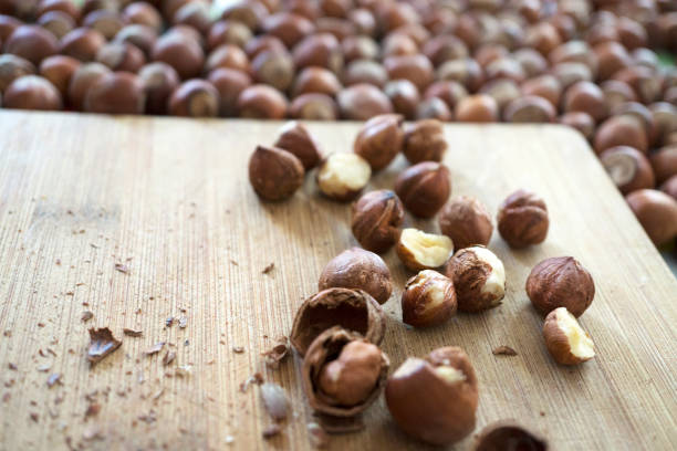 تصویر 2 از فندق شیرین طبیعی مناسب میان وعده سالم