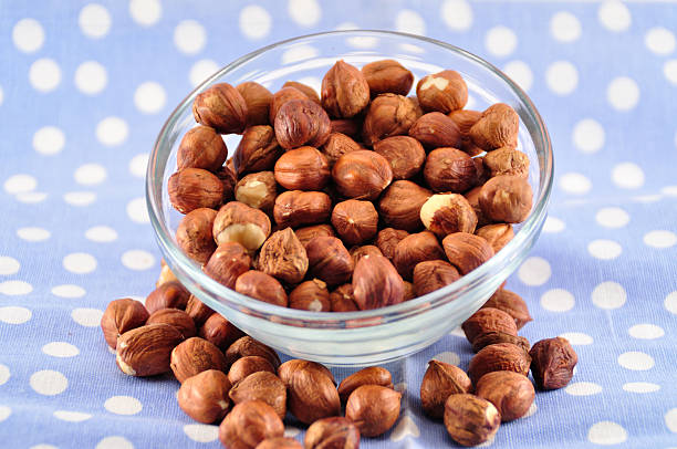 تصویر 4 از فندق برشته ملایم یکنواخت مناسب بازار عمده