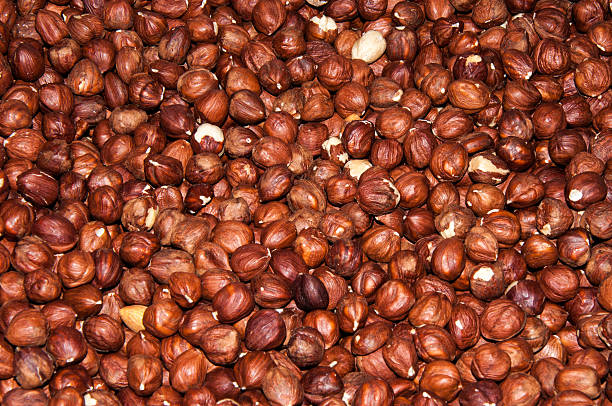 فندق برشته ملایم یکنواخت مناسب بازار عمده