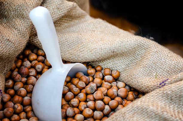 تصویر 1 از فندق اعلا سورت دستی با ظاهر کاملا تمیز