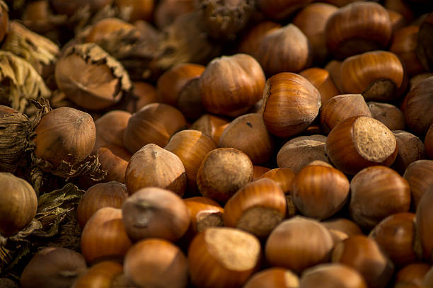 تصویر 2 از فندق اعلا سورت دستی با ظاهر کاملا تمیز