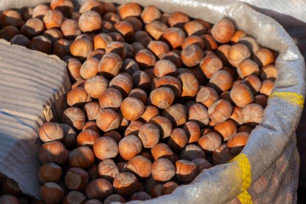 تصویر 4 از فندق اعلا سورت دستی با ظاهر کاملا تمیز