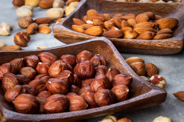 تصویر 3 از فندق پرورشی مرغوب محصول باغات شمال کشور