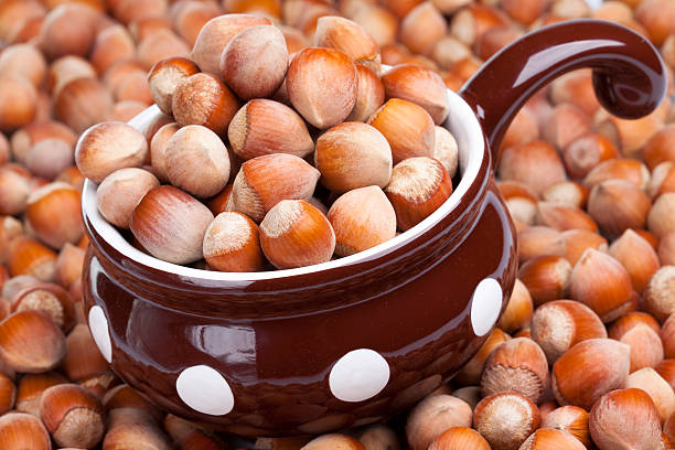 تصویر 4 از فندق خام کنترل شده با رطوبت استاندارد