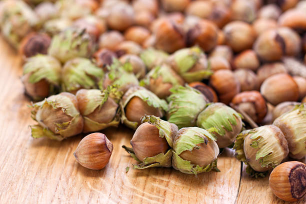 تصویر 2 از فندق تازه بسته بندی بهداشتی شکیل صادراتی