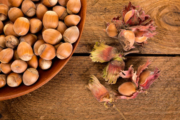 تصویر 4 از فندق تازه بسته بندی بهداشتی شکیل صادراتی