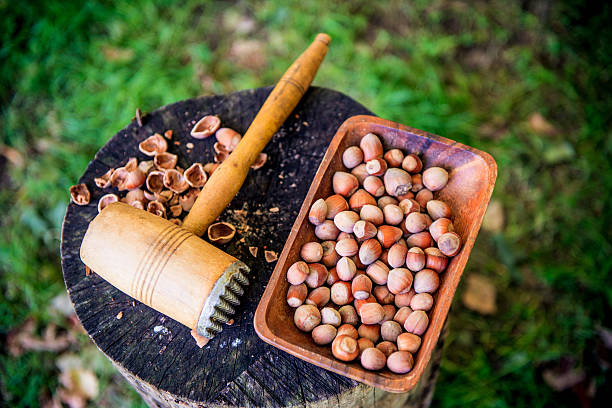 تصویر 1 از فندق درشت صادراتی با کیفیت یکنواخت بالا