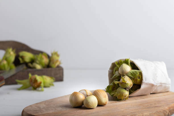 فندق تازه شمالی با عطر طبیعی دلپذیر