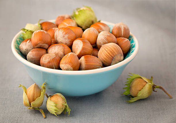 تصویر 2 از فندق خام سورت شده سایزبندی استاندارد