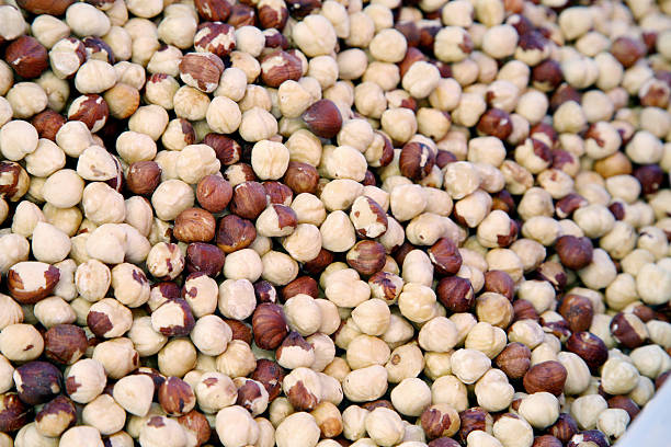 فندق خام سورت شده سایزبندی استاندارد