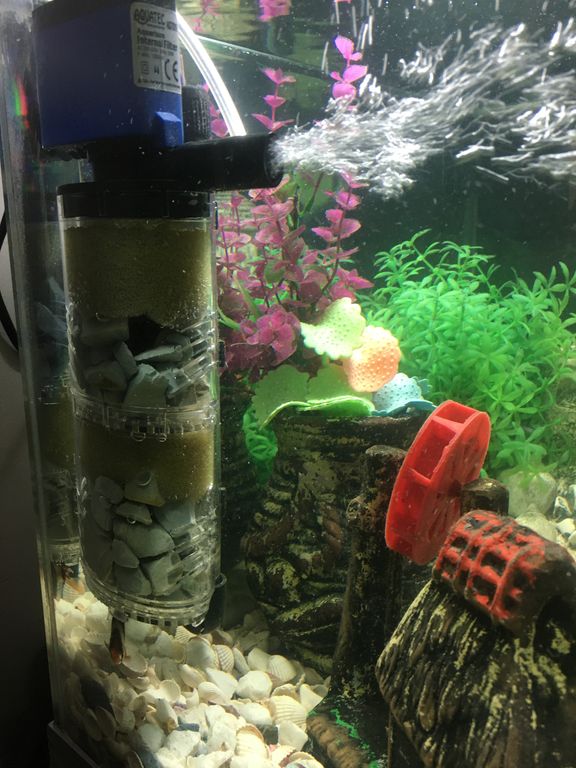 تصویر 3 از انواع زئولیت آکواریوم با کیفیت بالا و خواص غنی