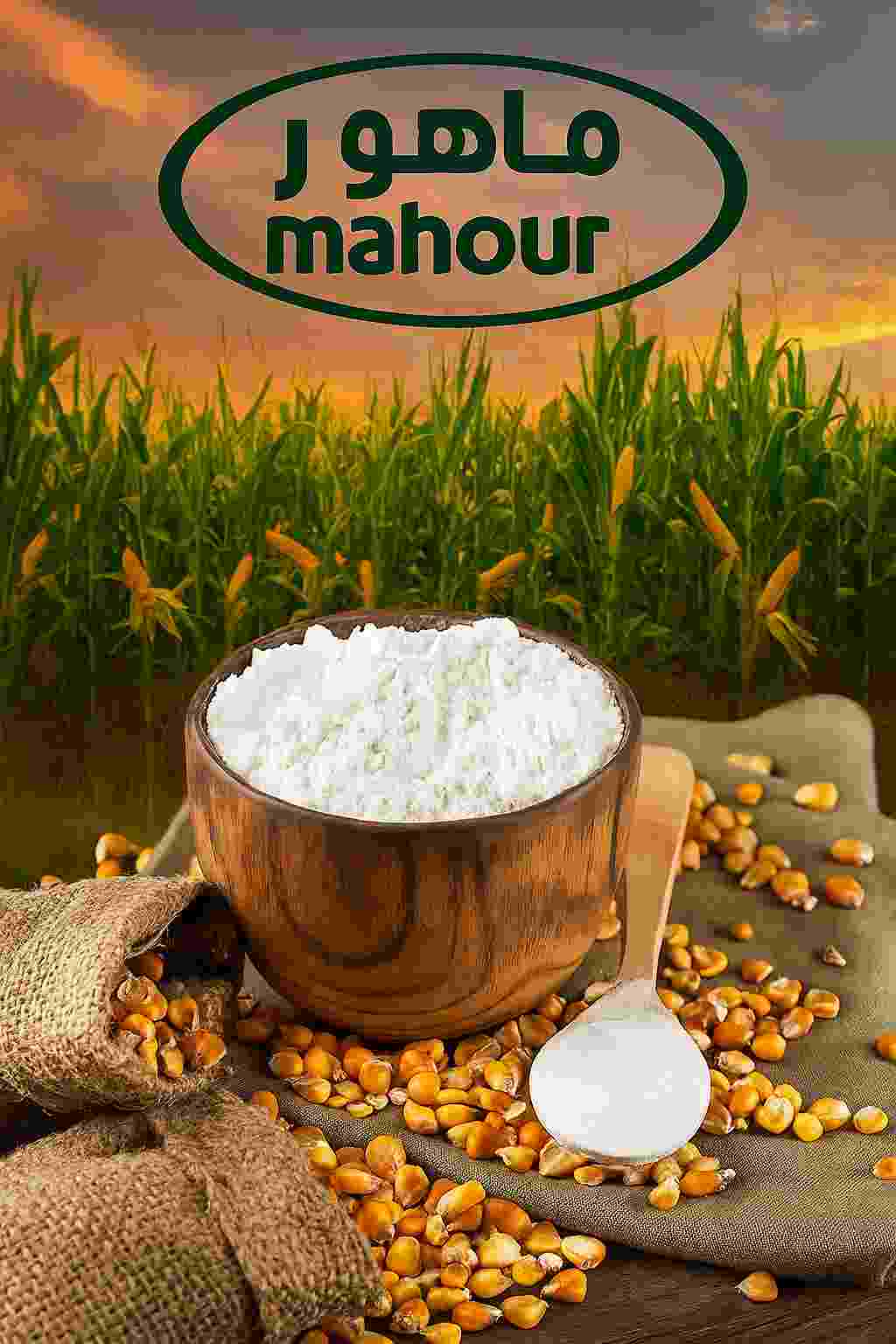 خرید نشاسته ذرت با قیمت رقابتی + خرید سریع و راحت