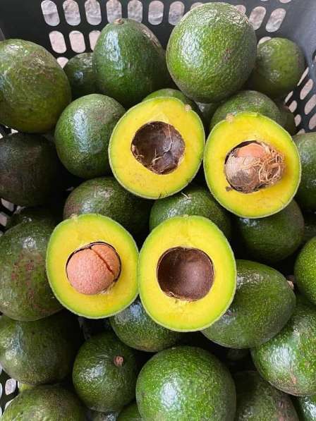 تصویر 4 از خرید اینترنتی آووکادو رسیده + مناسب سالاد اسموتی و مصرف روزانه
