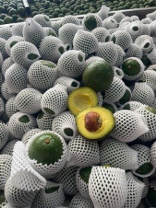 تصویر 4 از خرید آووکادو درجه‌ یک + سفارش آنلاین با بسته‌ بندی استاندارد