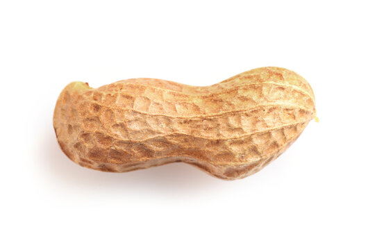 تصویر 1 از بادام زمینی درجه یک آستانه + انتخاب اول در بازارهای جهانی